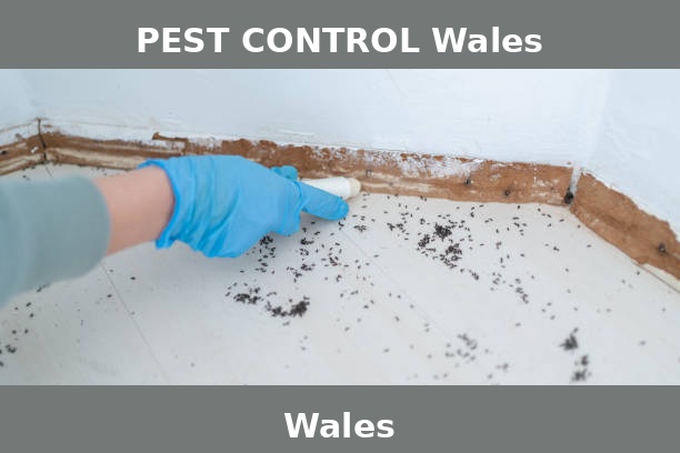 PEST CONTROL Wales
